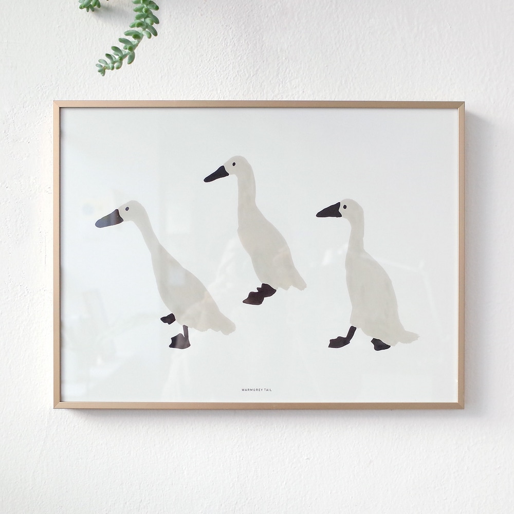 ArtPrint - Indian Runner Duck – Bild 4