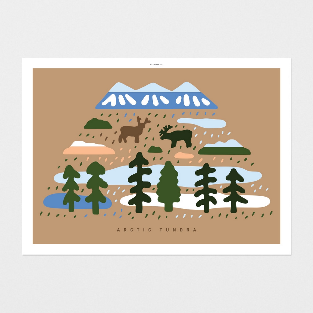 ArtPrint - Arctic Tundra Landscape – Bild 2