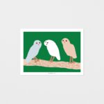 Postkarte - Hello Owls Green