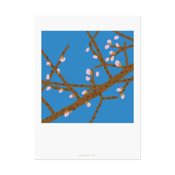 Postkarte - Maehwa